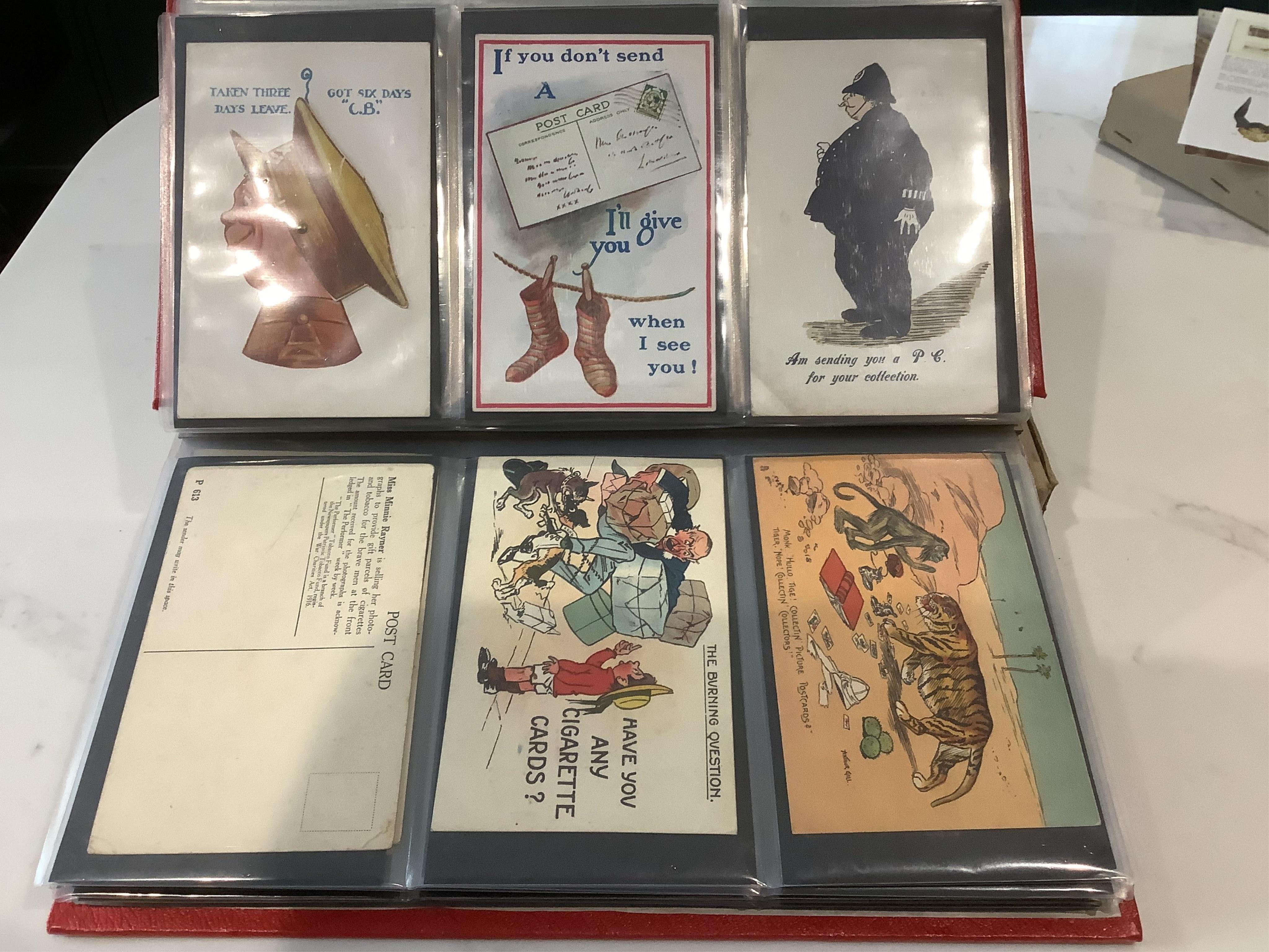 An album of assorted novelty postcards, including Louis Wayne cats, fantasy heads, silks, 1870 advertisement and 1891 Royal Naval Exhibition (97)